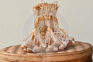 Sun light dried garlic