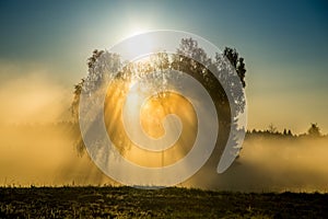 Sun light through mist