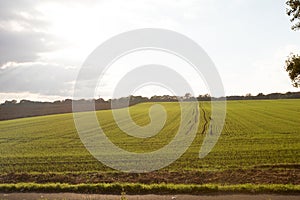 The sun light over a grass area in geeste emsland germany