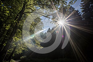 Sun light overlay rays effect