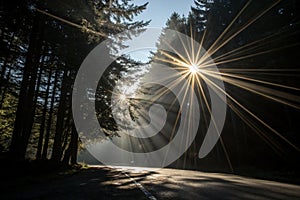 Sun light overlay rays effect