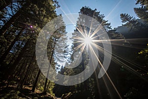 Sun light overlay rays isolated on black background