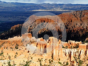 Sun Lit Hoodoos in Bryce Canyon Utah