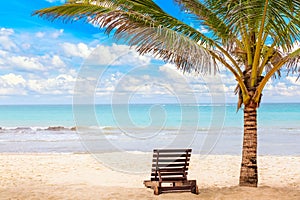 Sun lounger under palm on the sandy beach by the ocean and cloudy sky. Vacation background. Idyllic beach landscape in Diani beach