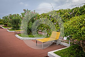 Sun loungers on Cinta Costera - Panama City, Panama photo