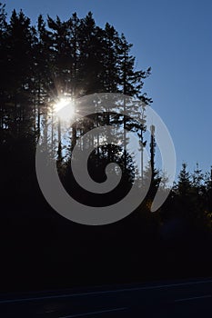 sun low in the trees of the Eifel, next to a smaller transmitter tower