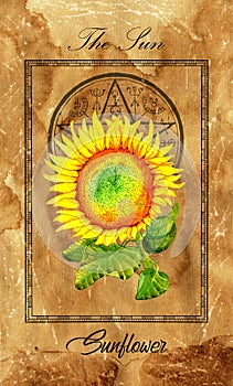 The Sun. Major Arcana tarot card with Sunflower and magic seal photo
