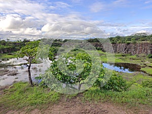 Sun monsoon rain  dream  tree ðŸ’§ view desire dreams