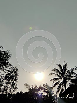 Sun in the morning lovely