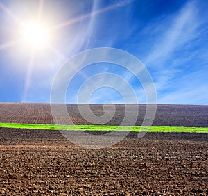 Sun over arable field with green line