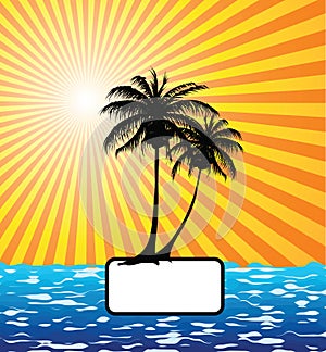 Sun, palm tree, sea