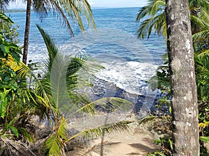 Sun, palm trees, sand and sea in Costa Rica photo