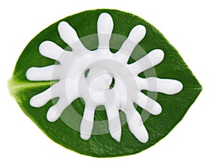 Sun protective cream sample over green leaf