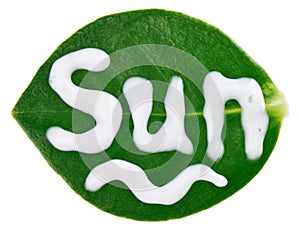 Sun protective (sunblock) cream sample on leaf photo