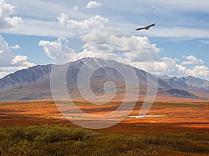 Sun after the rain over the summer mountain plateau. Dramatic rainy alpine landscape in autumn valley and dark mountain sharps in