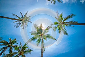 Sun rainbow circular halo phenomenon