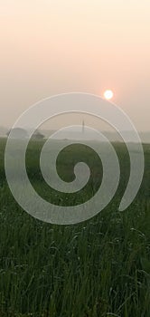 Sun raise in a winter morning in December