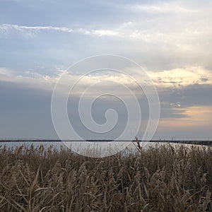 Sun raising in wetland park