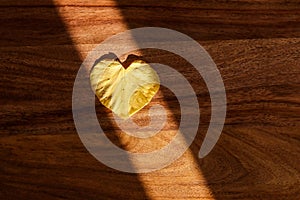 Sun ray illuminating yellow autumn leaf of heart shape on wooden background.