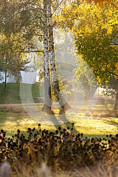 Sun rays in autumn city park - Czech Republic, Pardubice