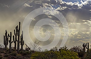 Sun Rays Beaming Down On the Arizona Desert Near Phoenix