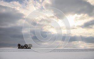 Sun rays through clouds and snowy field