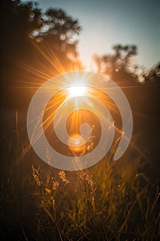 sun rays forming a star