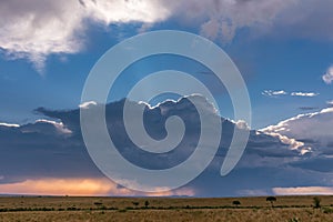 Sun rays light through dramatic sunset golden hour clouds on the savannah grasslands at the Maasai Mara National Game Reserve Park