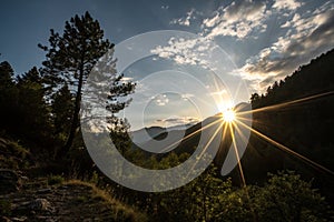 Sun rays light isolated on black background