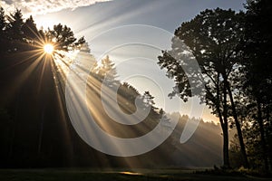 Sun rays light isolated on black background
