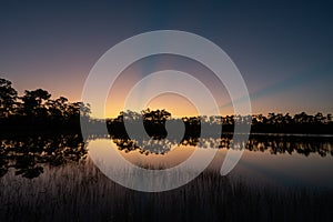 Sun rays over pond in Everglades National Park in morning twilight.