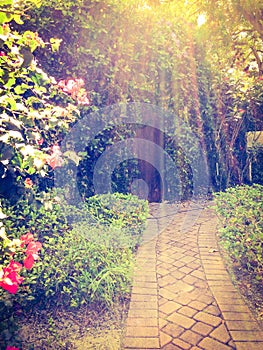 sun rays passing above A beautiful rustic overgrown, secret garden door at sunset.a