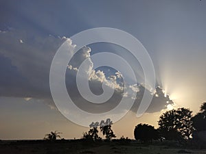 Sun rays spreading behind cloud at sunset