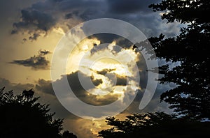 Sun rays during sunset in the garden