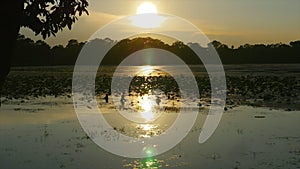 Sun reflection on river while 3 kids play