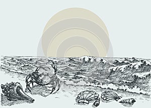 Sun rise on the beach vector hand drawing