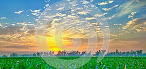 Sun rise country side land mark blue skys closed animation trees fields green blue orange yellow nature beautiful 4k saturate