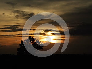 Sun rise dawn over the horizon of an open land with a solitary tree in the scene