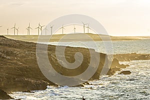 Ãâ°oliennes of hawaria