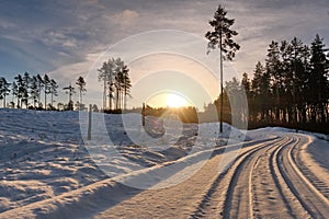 Sun rise over forest observing