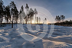 Sun rise over forest observing Latvia