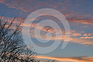 SUN RISE OVER KASTRUP COPENHAGEN DENAMRK