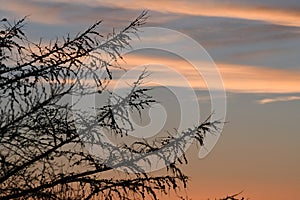 SUN RISE OVER KASTRUP COPENHAGEN DENAMRK