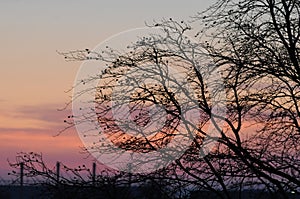 Sun rise over Kastrup Copenhagen Denamrk