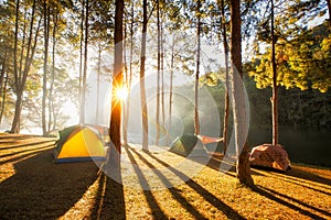 Sun rise at Pang-ung, Pine forest in Thailand photo