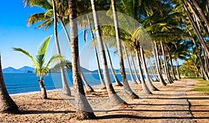 Sun rise at tropical beach