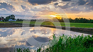 Sun rise with water reflection clouds.