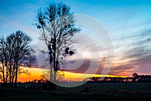 Sunrise about the Lewitz II