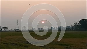 The sun rises in the morning Shining light on everything in the world  this video was taken in the morning. The rice fields