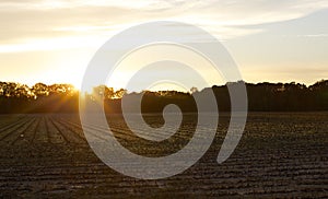 The Sun rises over a crop field in Tennessee